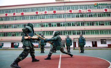 组训岗年终总结6篇
